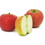 Äpfel - "Elstar" -  5kg - Gebinde
