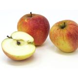 Äpfel - "Finkenwerder Herbstprinz" - 2,5kg Kiste