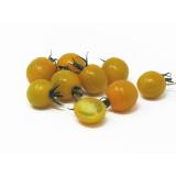 Tomaten - Cherrystrauch gelb