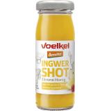 Shot Ingwer & Zitrone-Honig, 8 x 95 ml