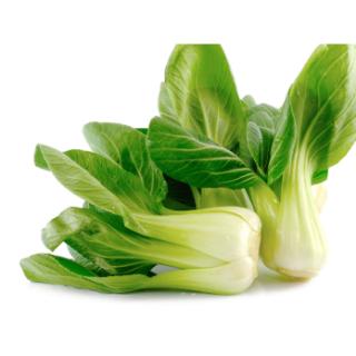 Pak Choy, klein