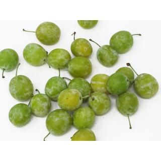 Mirabellen - 3kg - Gebinde