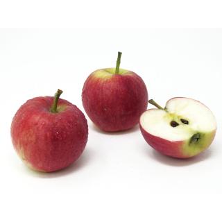Äpfel - "Prinz Albrecht" - 2,5kg Kiste
