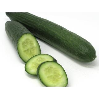 Salatgurke DE