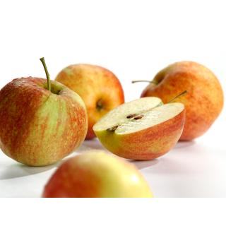 Äpfel - "Jonagored" - 2,5kg Kiste