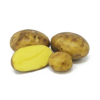 Lea festk. - 1kg