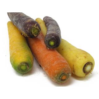 Möhren - bunte Mischung