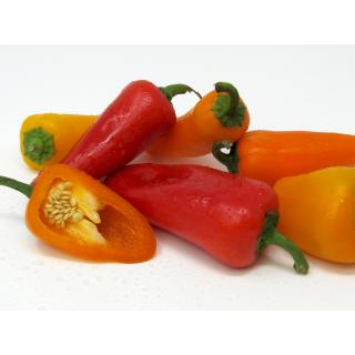 Paprika Mini Mix