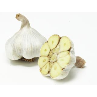 Lauch, Zwiebeln & Knoblauch