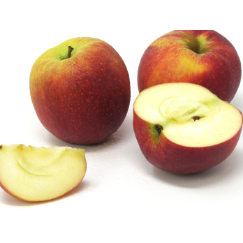 Äpfel - "Lavanthaler Bananenapfel"