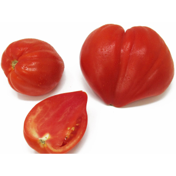Tomaten - Ochsenherz rot