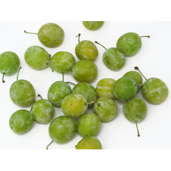 Mirabellen - 3kg - Gebinde