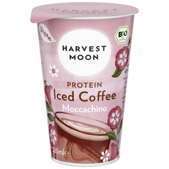 Iced Coffee Moccachino