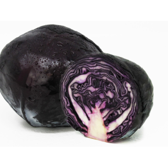 Rotkohl Neue Ernte