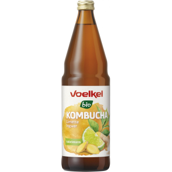 Kombucha Limette Ingwer