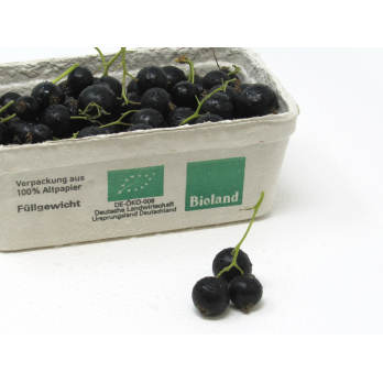Johannisbeeren schwarz- 250g